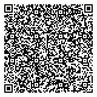 vCard 79378002482