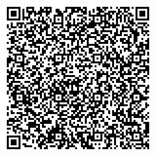 vCard 79378002491