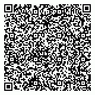 vCard 79378002507