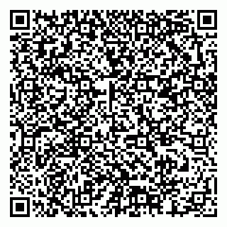 vCard 79378002509