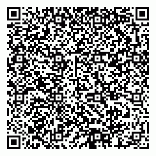 vCard 79378002628