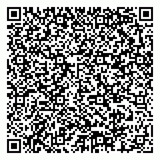 vCard 79378002629