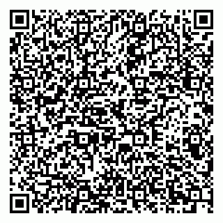 vCard 79378002631