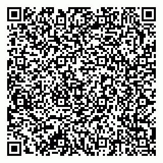 vCard 79378002634