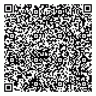 vCard 79378002637