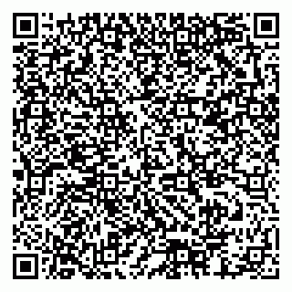 vCard 79378002653