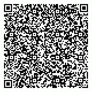 vCard 79378002658