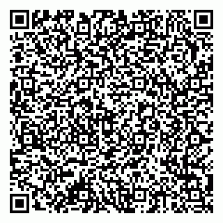 vCard 79378002659