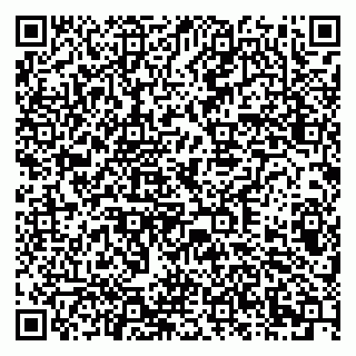 vCard 79378002661