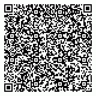 vCard 79378002663