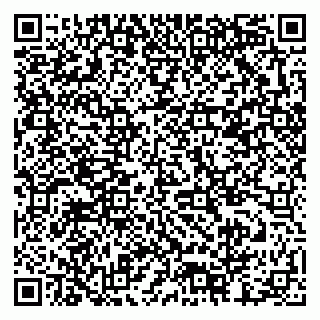 vCard 79378002667