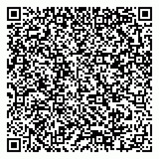 vCard 79378002670
