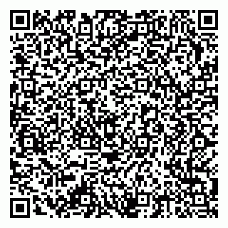 vCard 79378002675