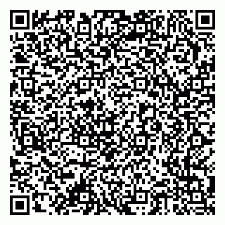 vCard 79378002687