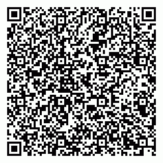 vCard 79378002689