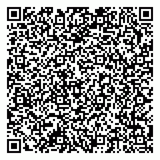 vCard 79378002691