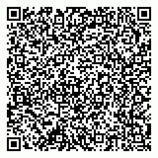 vCard 79378002703
