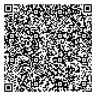 vCard 79378002707
