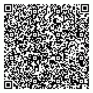 vCard 79378002711
