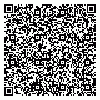vCard 79378002721
