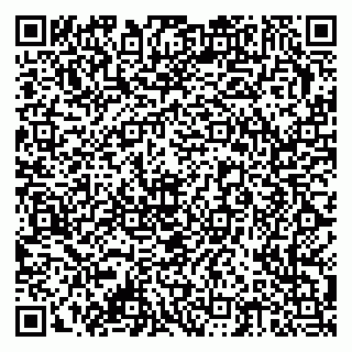 vCard 79378002728