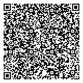 vCard 79378002729