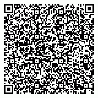 vCard 79378002731
