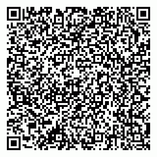 vCard 79378002733