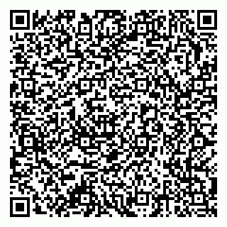 vCard 79378002735