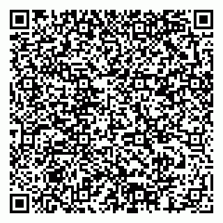 vCard 79378002741