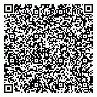 vCard 79378002744