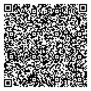 vCard 79378002751