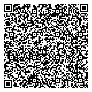 vCard 79378002755