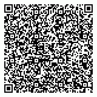 vCard 79378002759