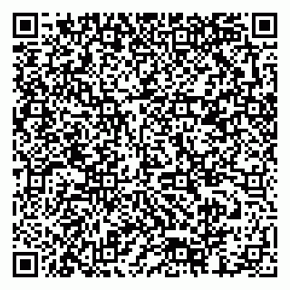 vCard 79378002763