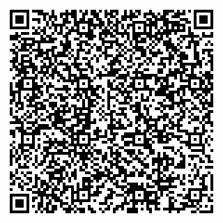 vCard 79378002771