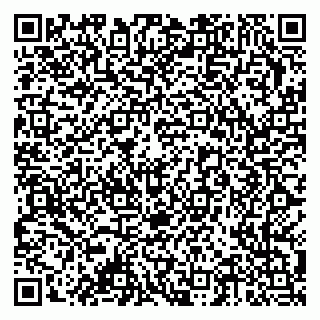 vCard 79378002795