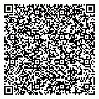 vCard 79378002803