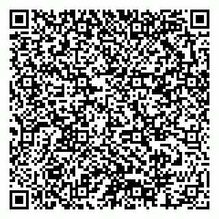 vCard 79378002811