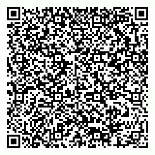 vCard 79378002831