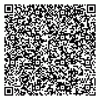 vCard 79378002867