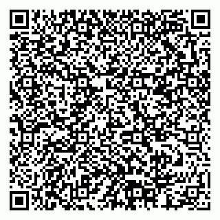 vCard 79378002870