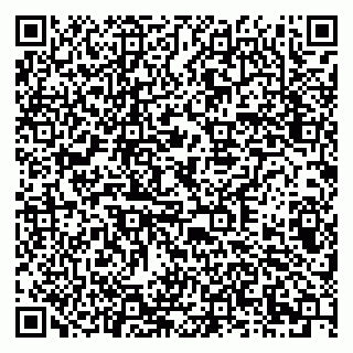 vCard 79378002871