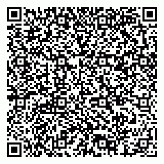 vCard 79378002881