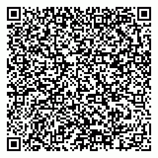 vCard 79378002894