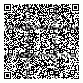 vCard 79378002907