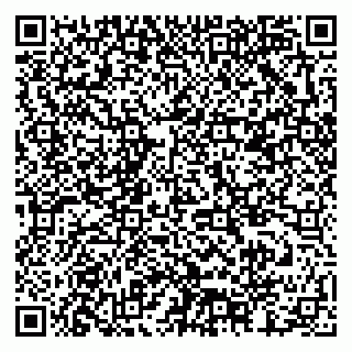 vCard 79378002909