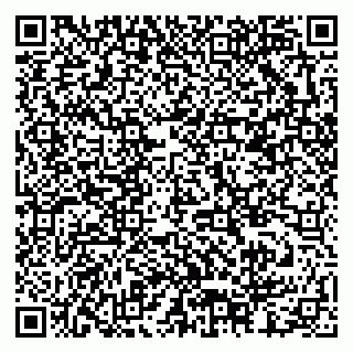 vCard 79378002914