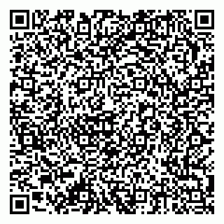 vCard 79378002915