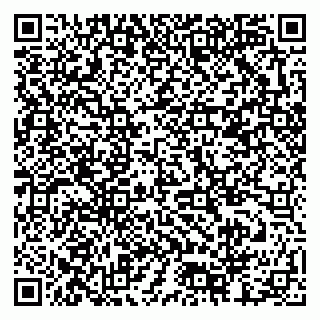 vCard 79378002917